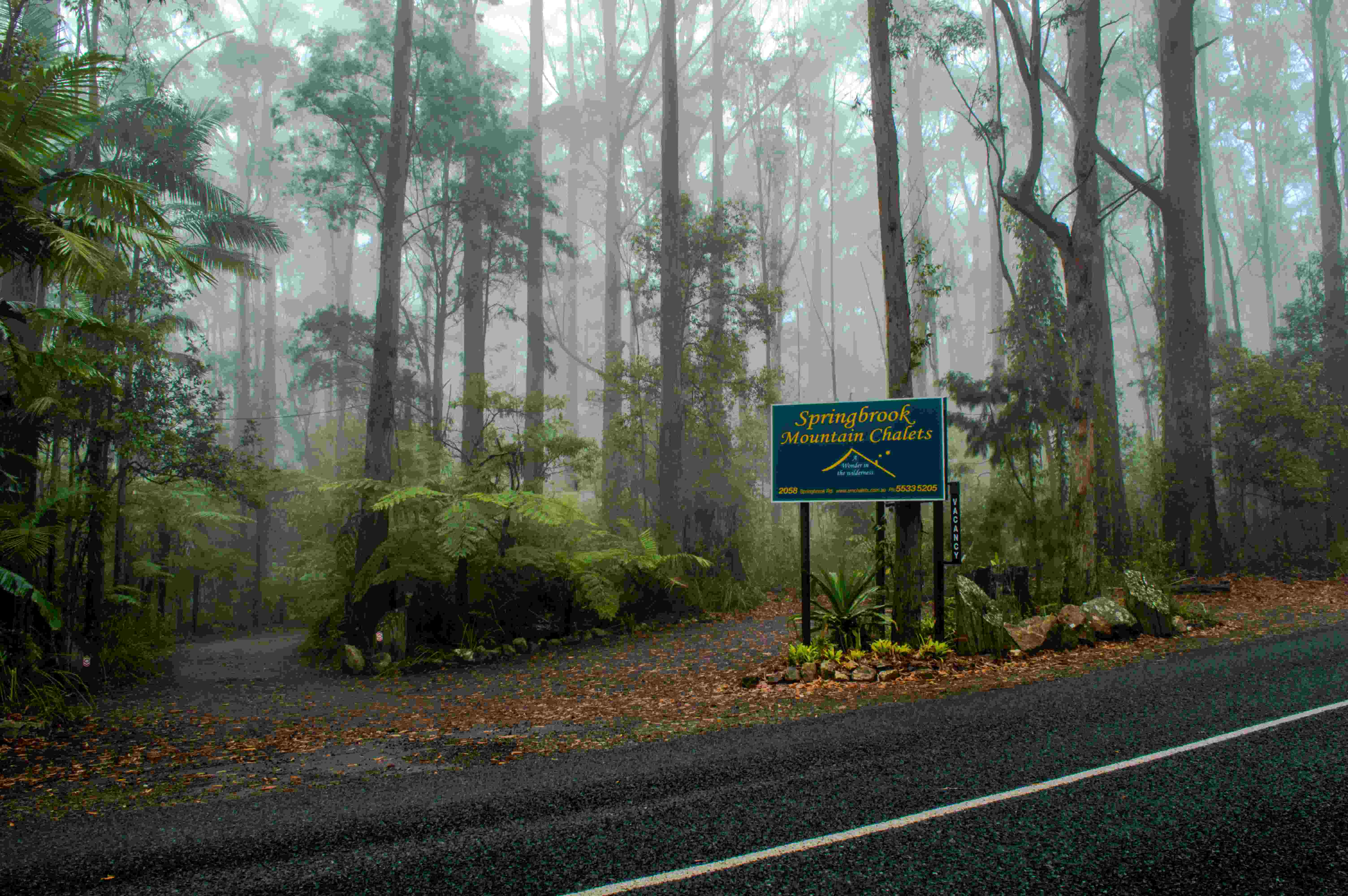 Mist