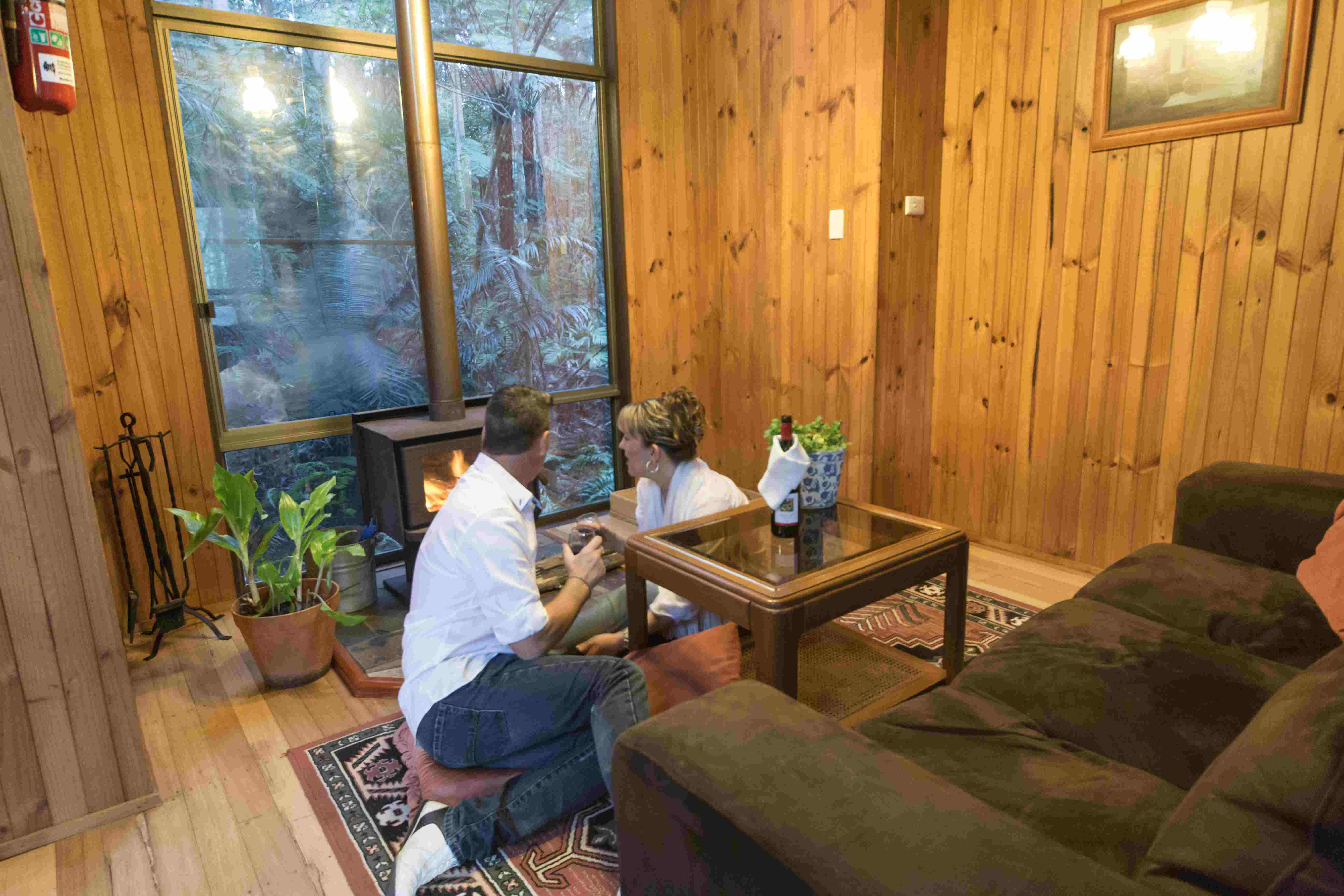 Fireplace Chalet 4