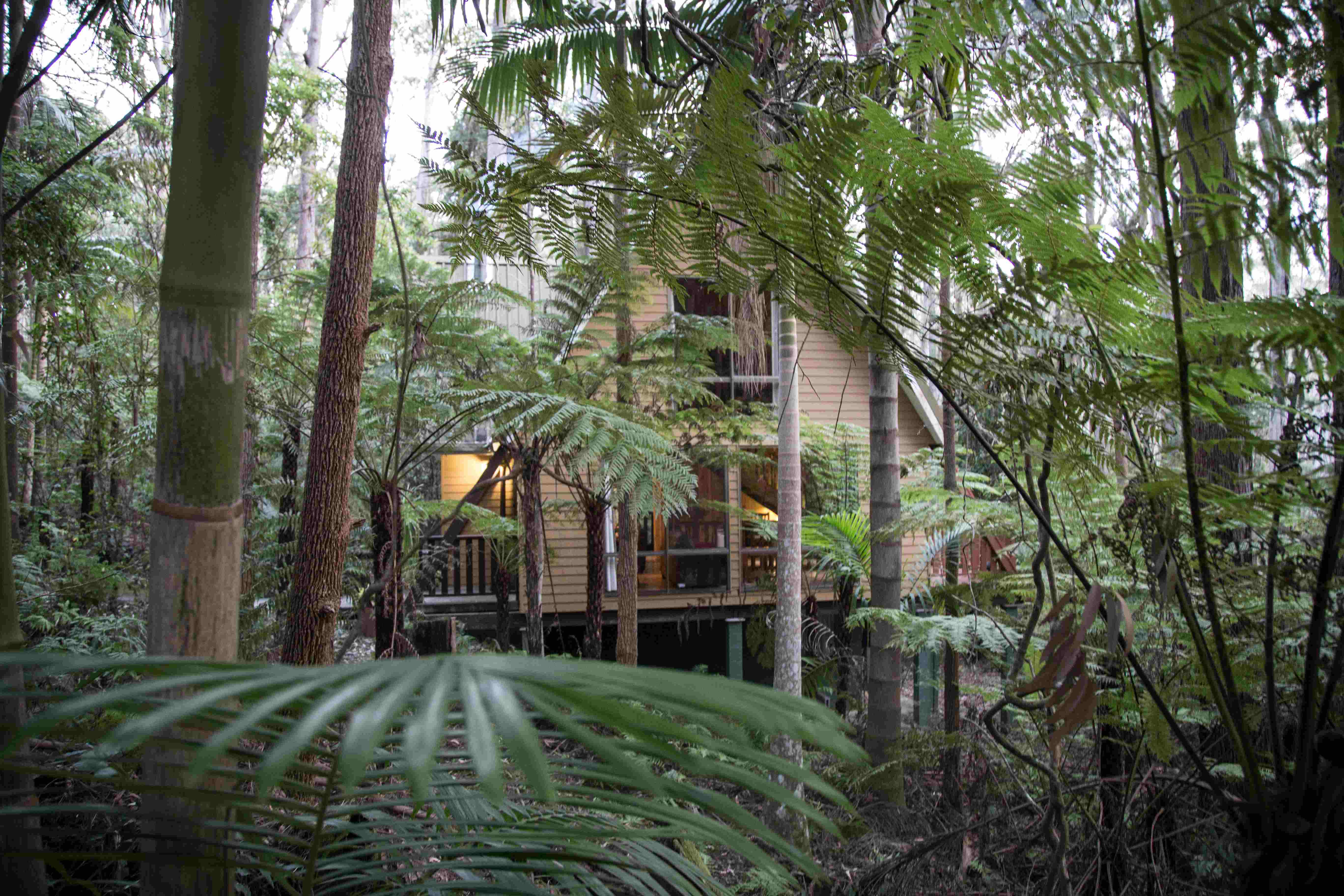 Chalet 4