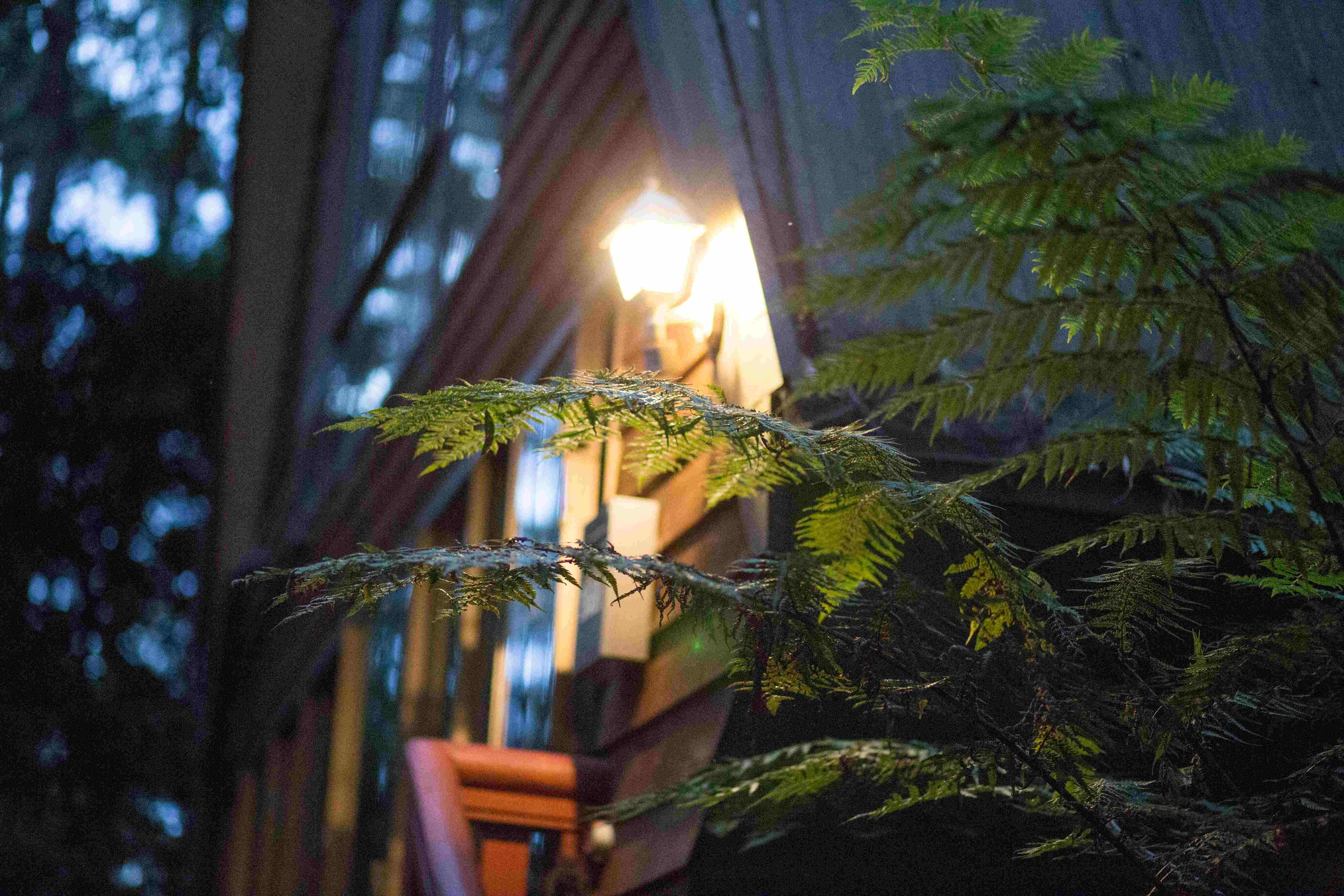 Twilight