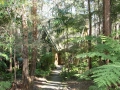 Walkway to Chalet 4